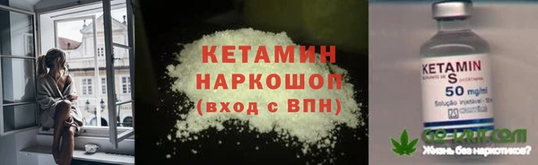 гидра Тайга