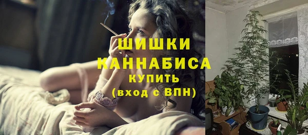 Альфа ПВП Бородино