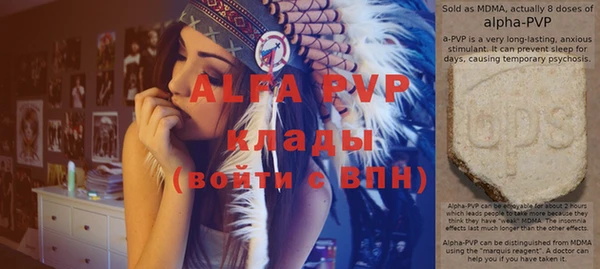 гидра Тайга