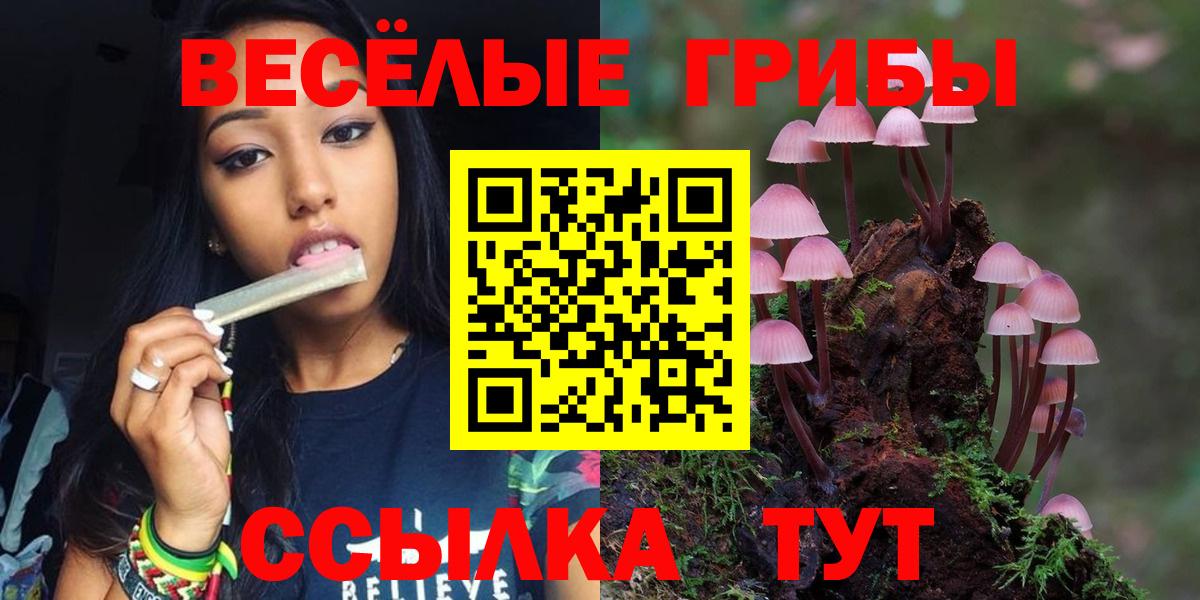 Галлюциногенные грибы Psilocybe  Вход с VPN  Галлюциногенные грибы GOLDEN TEACHER  Рузаевка 